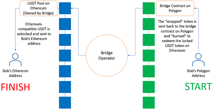 The Bridge Series: The Designs